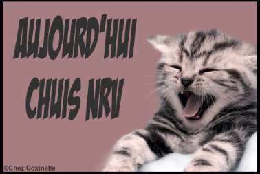 hihi mignon non ??